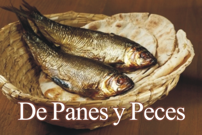 SEMANA PRIMERA ADVIENTO MIÉRCOLES