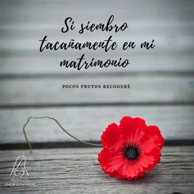 SEMANA UNDÉCIMA TO MIÉRCOLES